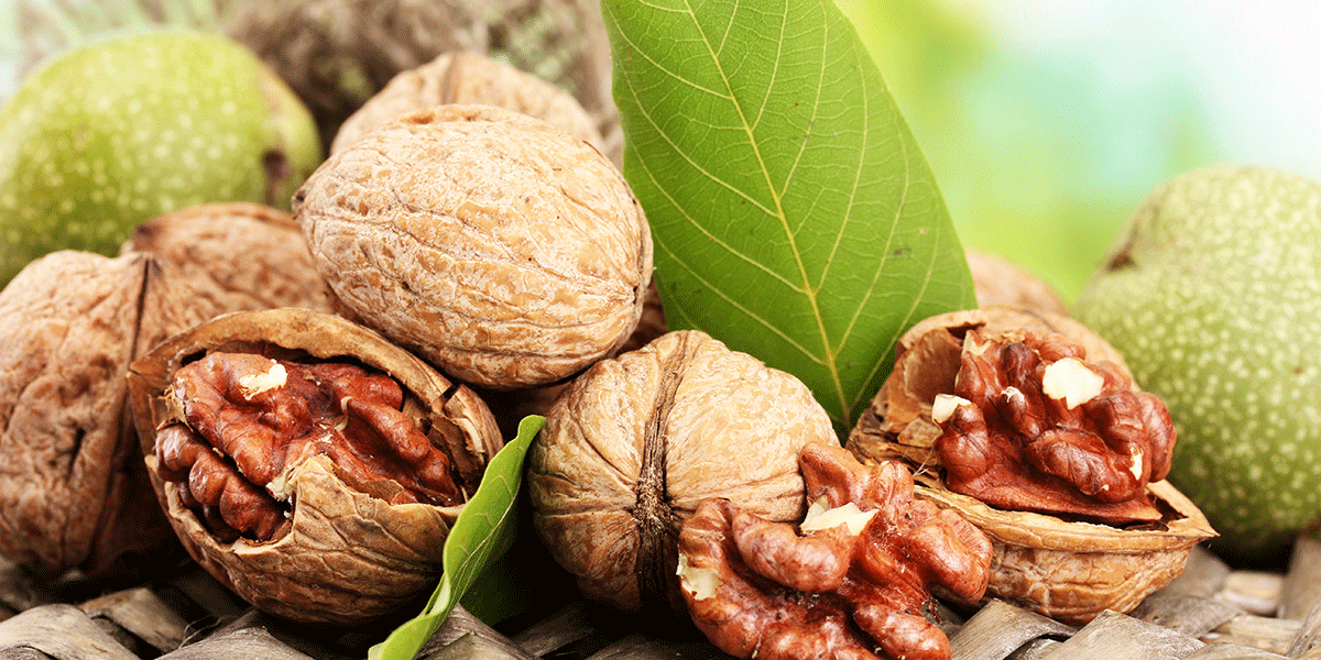 আখরোট খাওয়ার উপকারিতা । খবরের কাগজ
