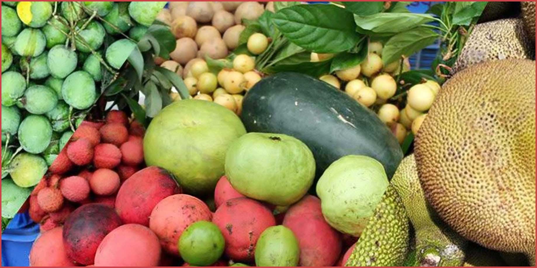 মৌসুমি ফল আল্লাহর নেয়ামত