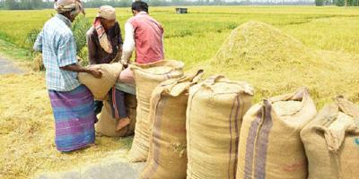 রাজশাহীতে ধান-চাল সংগ্রহ অভিযান আবারও ব্যর্থ