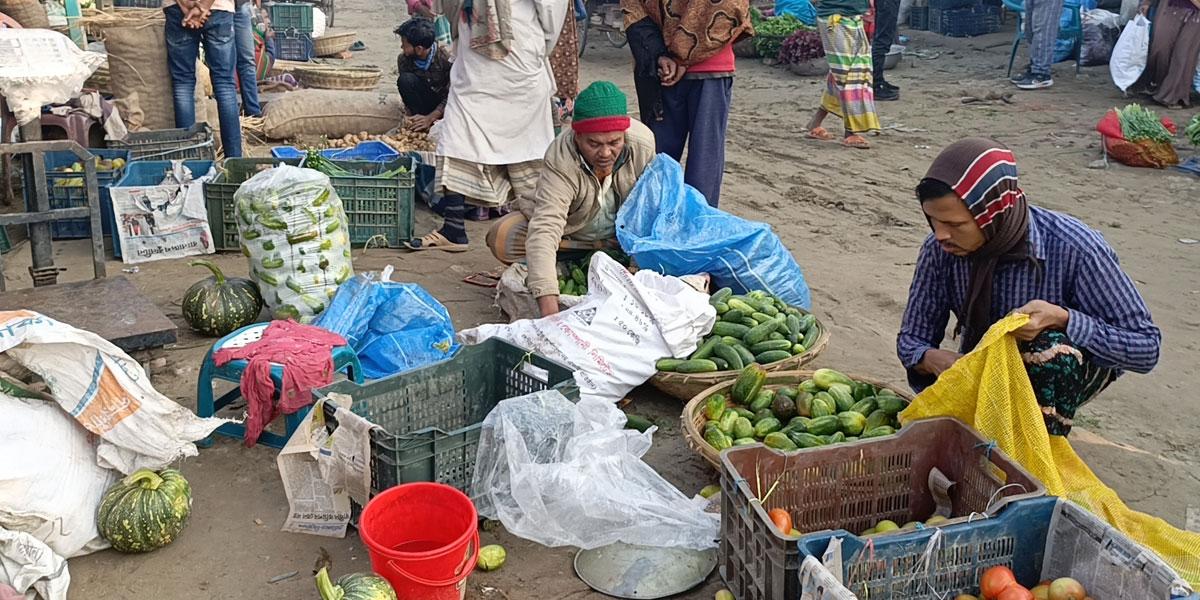 মাছ-সবজির দামে স্বস্তি ফিরলেও বিপাকে চাষি
