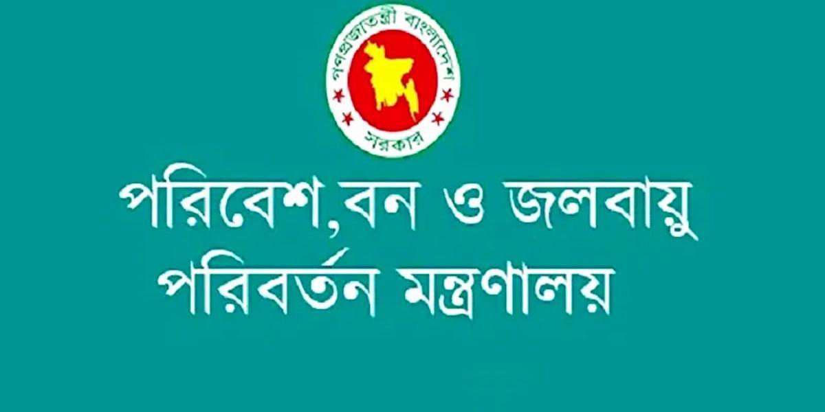 ইউক্যালিপটাস-আকাশমণি গাছ রোপণ ও বিক্রি নিষিদ্ধ করল সরকার