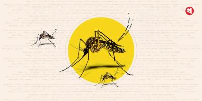 চট্টগ্রামে ২৪ ঘণ্টায় ডেঙ্গু আক্রান্ত ৪৩