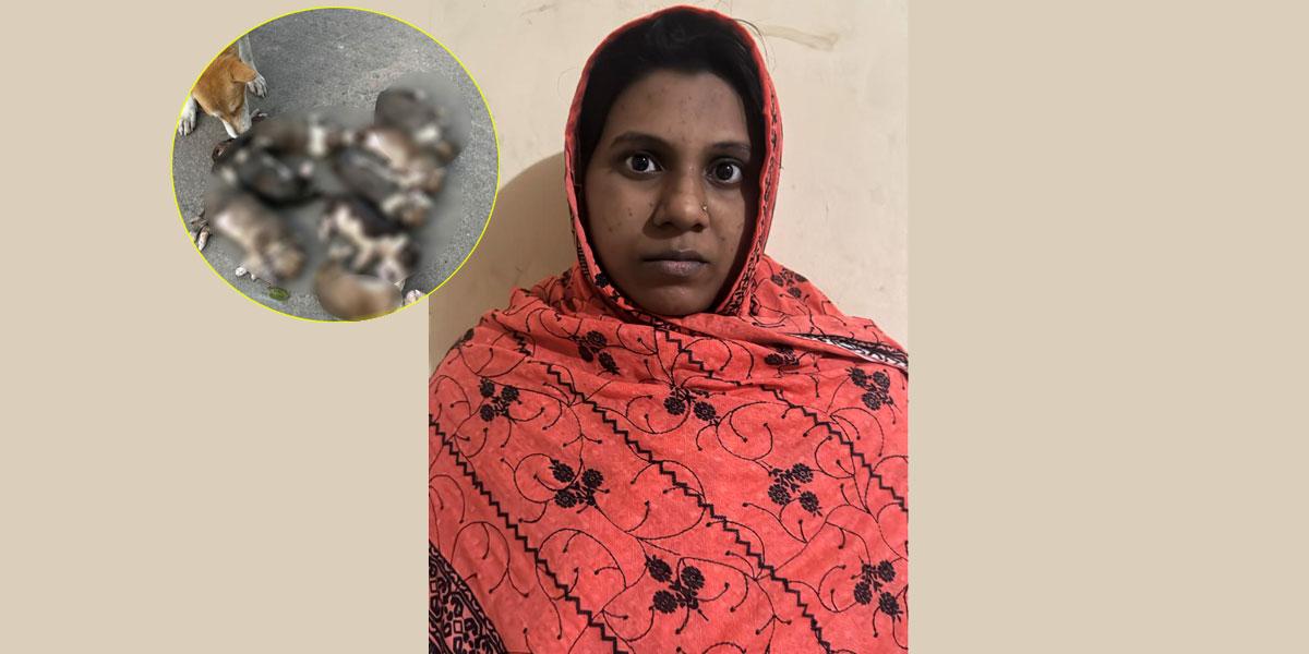 ৮ কুকুরছানা হত্যা মামলার একমাত্র আসামি নিশি রহমান গ্রেপ্তার