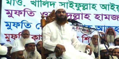মুক্তিযুদ্ধের ৯ মাসে ৩০ লাখ শহিদ নিয়ে যা বললেন মামুনুল হক
