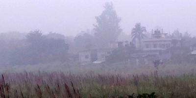 ঠাকুরগাঁওয়ে তাপমাত্রা বেড়েছে, কুয়াশা আর হিমেল বাতাসে বিপর্যস্ত জনজীবন