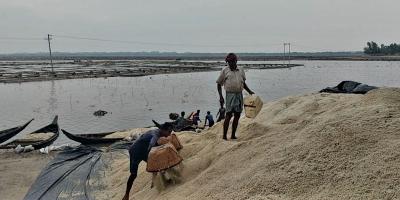 ভরা মৌসুমে আমদানির সিদ্ধান্তে হতাশ লবণচাষিরা