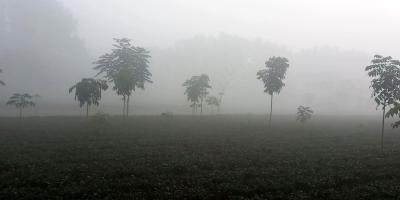 পঞ্চগড়ে আজও দেশের সর্বনিম্ন তাপমাত্রা