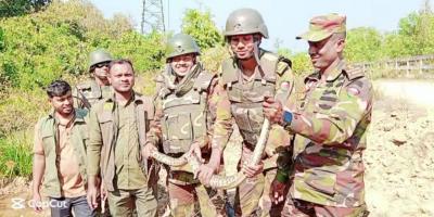 সাতকানিয়ায় মৃত্যুর মুখ থেকে অজগর উদ্ধার করল সেনাবাহিনী