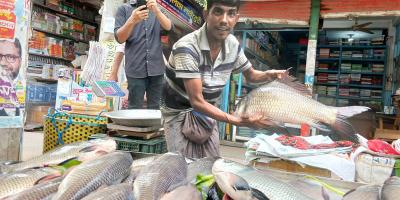 নববর্ষে কুমিল্লায় মাছের মেলা