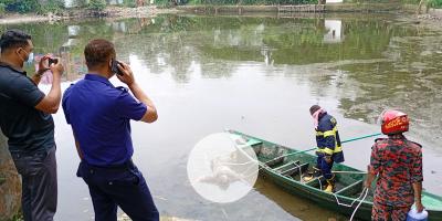 আখাউড়ায় পুকুরে ভাসছিল অজ্ঞাত নারীর মরদেহ