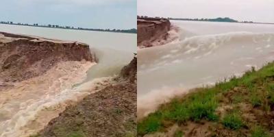 মধ্যনগরে আরও একটি বাঁধ ভেঙে ডুবছে ফসল