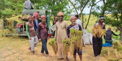 উত্তরাঞ্চলে মৌসুমের শুরুতে ধানের দাম নিম্নমুখী