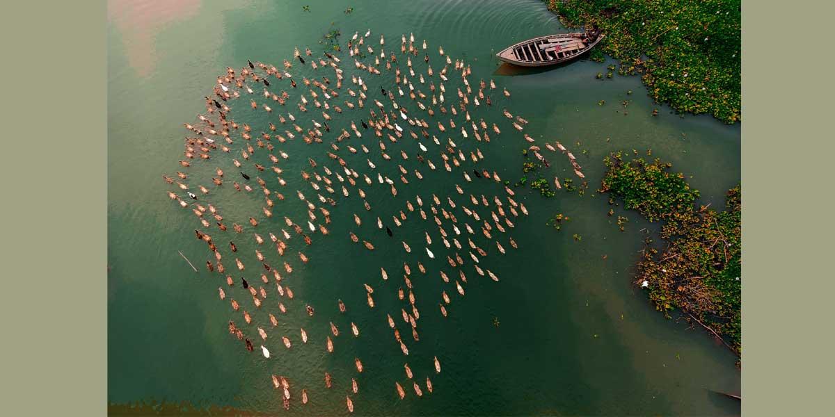 ক্যামেরা নষ্ট ছিল স্বপ্ন নয়