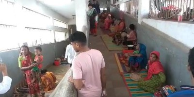 ফরিদপুরে ডেঙ্গুতে শিশুসহ ৩ জনের মৃত্যু