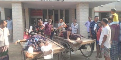 ডাকাত সন্দেহে ২ জনের চোখ তুলে নিল উত্তেজিত জনতা