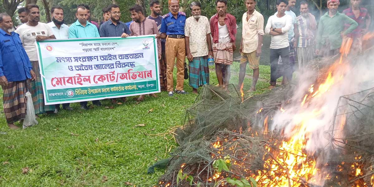 চাঁদপুরে শতাধিক চায়না রিংজাল পুড়িয়ে বিনষ্ট