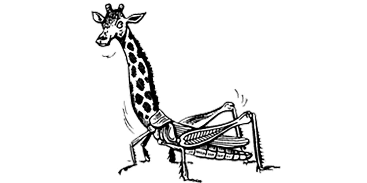 সুকুমারীয় ধাঁধা