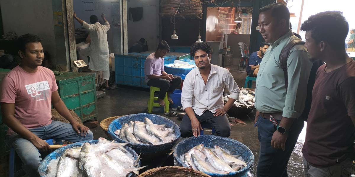 চাঁদপুরে ইলিশের সরবরাহ কম, দাম বেশি