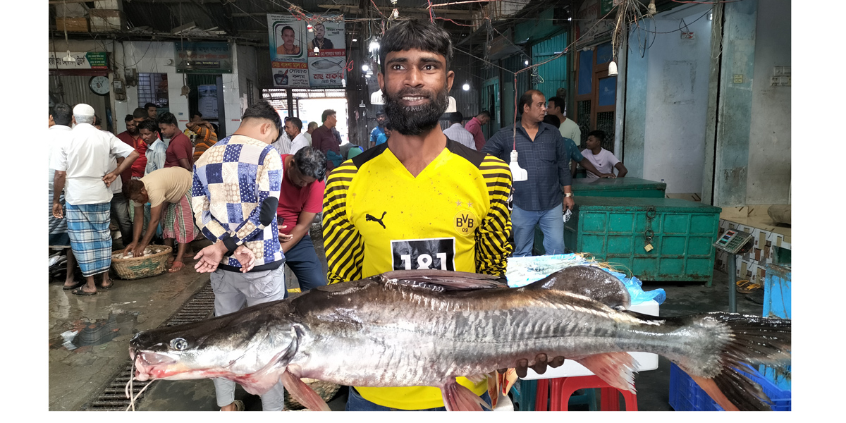 আইড় মাছটি বিক্রি হলো ২১ হাজারে