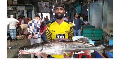 আইড় মাছটি বিক্রি হলো ২১ হাজারে
