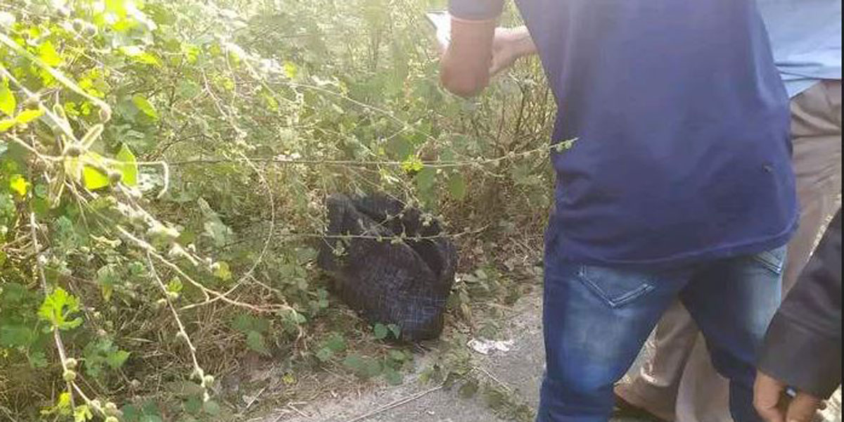 রাস্তার পাশে ব্যাগে নবজাতকের মরদেহ