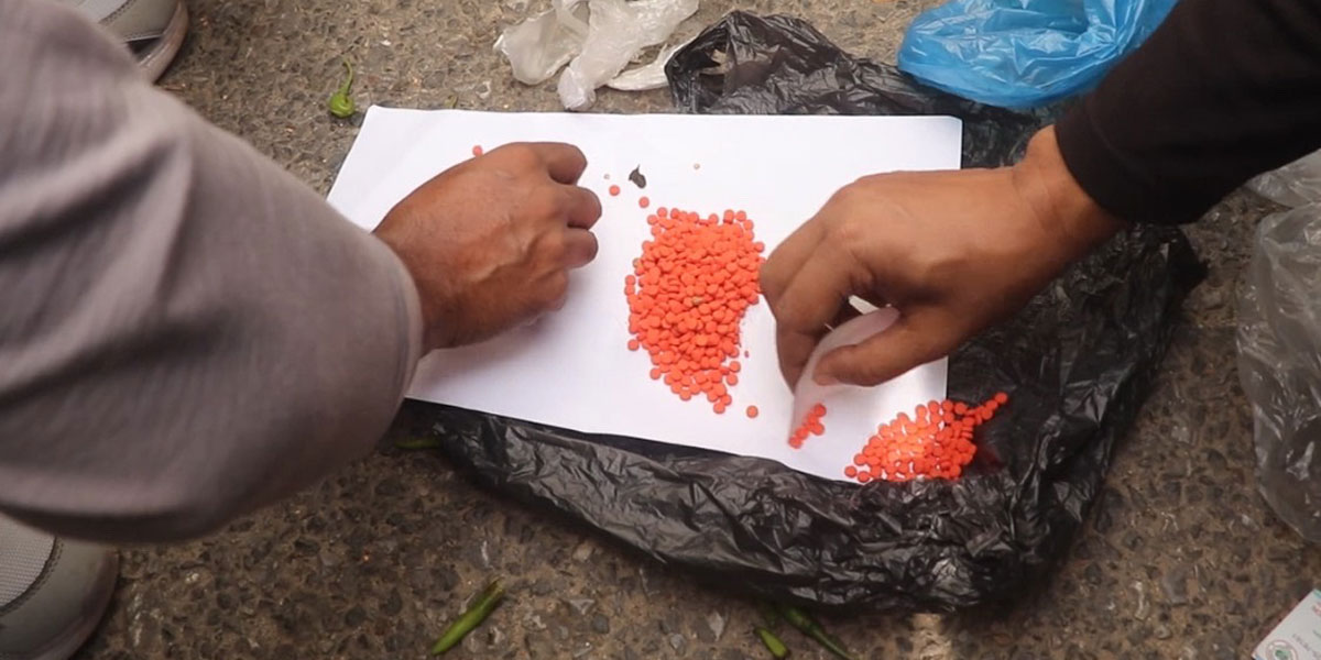 বেগুনের ভেতর ১৬০০ ইয়াবা