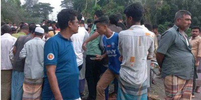 ট্রেন দেখতে এসে বাসচাপায় ভাই-বোন নিহত