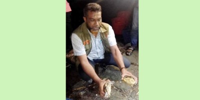চট্টগ্রামে পাচারের সময় ৩০০ সুন্ধি কাছিম জব্দ