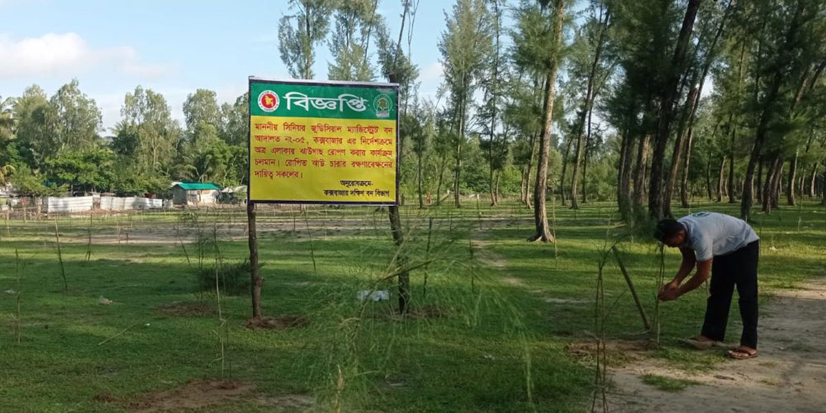 গাছ রোপণের শর্তে জামিন