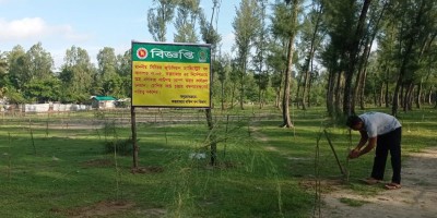 গাছ রোপণের শর্তে জামিন