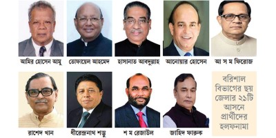 তোফায়েল ছাড়া সব ভিআইপির আয়-সম্পদ বেড়েছে