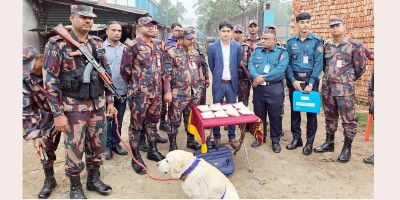 সীতাকুণ্ডে বিজিবি অভিযানে মাদক অ্যামফিটামিন জব্দ