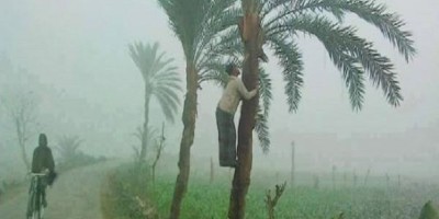 সর্বনিম্ন তাপমাত্রায় কাঁপছে চুয়াডাঙ্গা