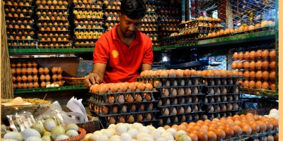 ডিমের বাজার আবারও ঊর্ধ্বমুখী