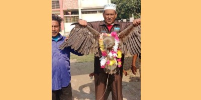 জীবন্ত ঈগল নিয়ে নির্বাচনি প্রচার