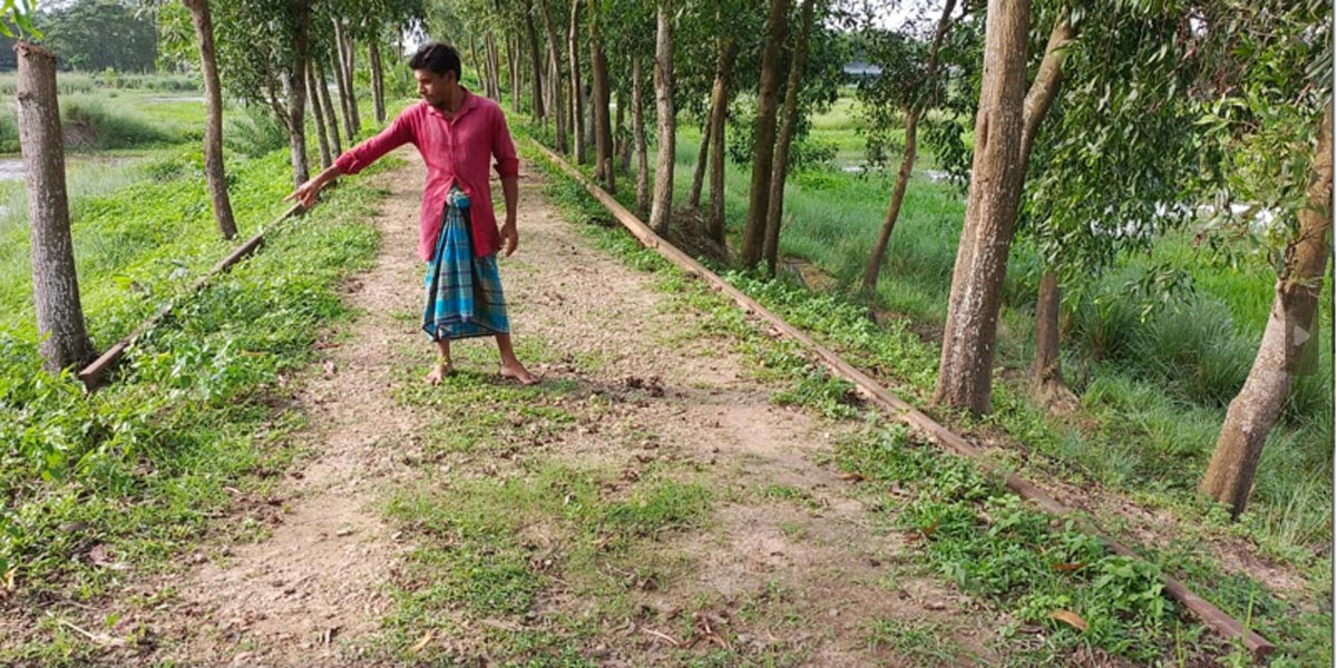 ফেনীতে যাত্রীমুখর একসময়ের স্টেশন এখন জঙ্গল