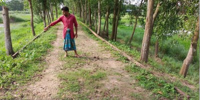 ফেনীতে যাত্রীমুখর একসময়ের স্টেশন এখন জঙ্গল