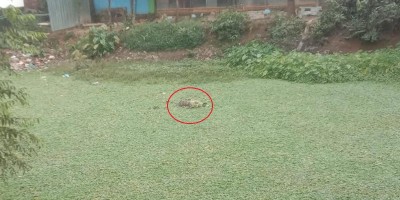 ব্রাহ্মণবাড়িয়ায় ডোবা থেকে মরদেহ উদ্ধার