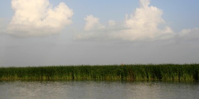রুপালি জলে হোগলাপাতার বনে