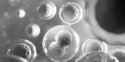 HSC English Version: Biology 1st Paper