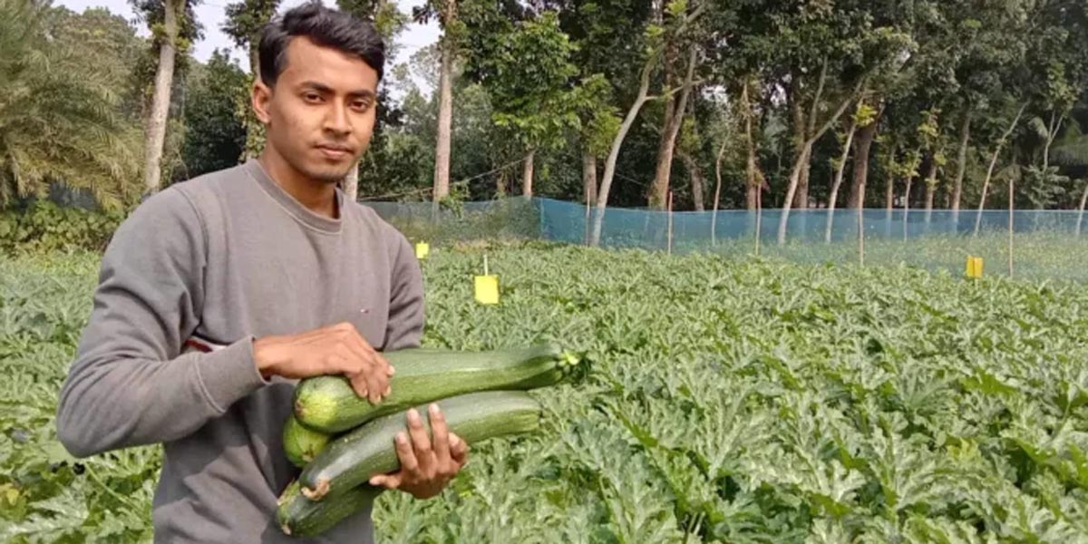 স্কোয়াশ চাষে সফল মঞ্জুরুল