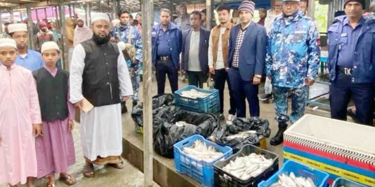 চাঁদপুরে জব্দ ৫০০ কেজি জাটকা গেল এতিমখানায়