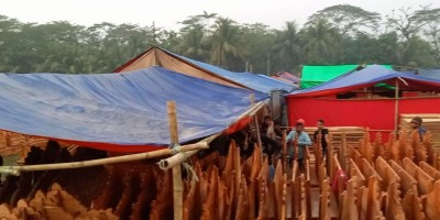 লক্ষ্মীপুরে দেওয়ান শাহের মেলা শুরু