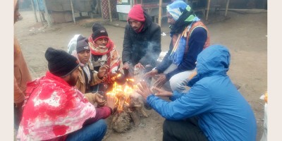 ঠাকুরগাঁওয়ে চলছে মৃদু শৈত্যপ্রবাহ