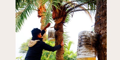 খেজুর রসের গ্রাম
