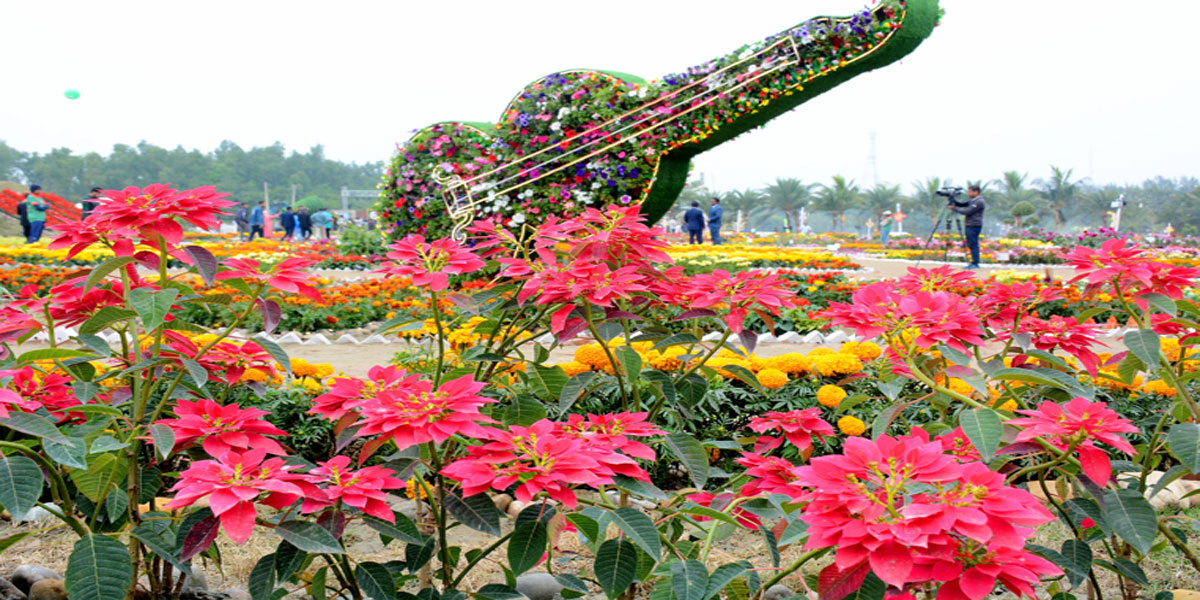 চট্টগ্রামে মাসব্যাপী ফুল উৎসব শুরু