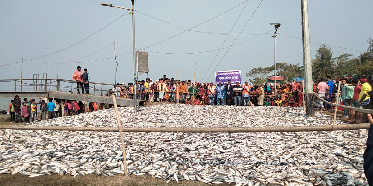হাতিয়ায় ৪২০ মণ জাটকাসহ ১৬ জেলে আটক