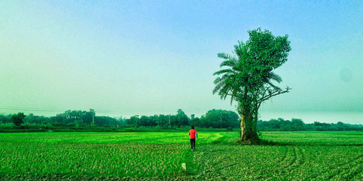 এসএসসির প্রস্তুতি: বাংলাদেশ ও বিশ্বপরিচয়