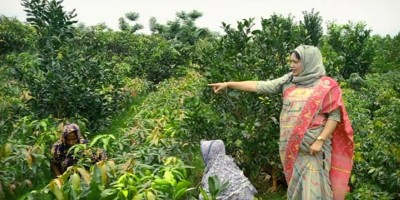 এখন তিনি অনেকের দৃষ্টান্ত