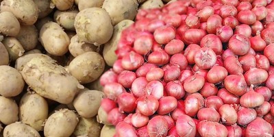 আলুর দাম কমলেও পেঁয়াজে ঝাঁজ বেশি